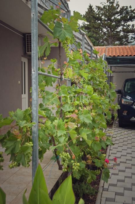 Seline, Starigrad, 175m2