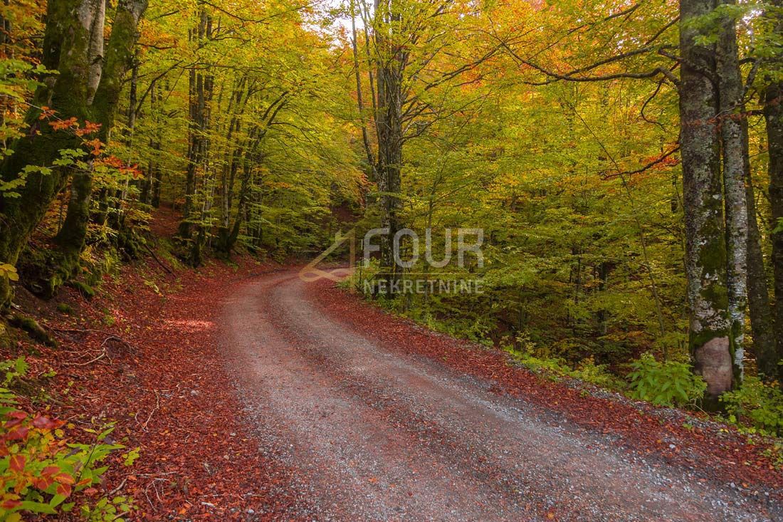 Sunger, Mrkopalj, 400m2