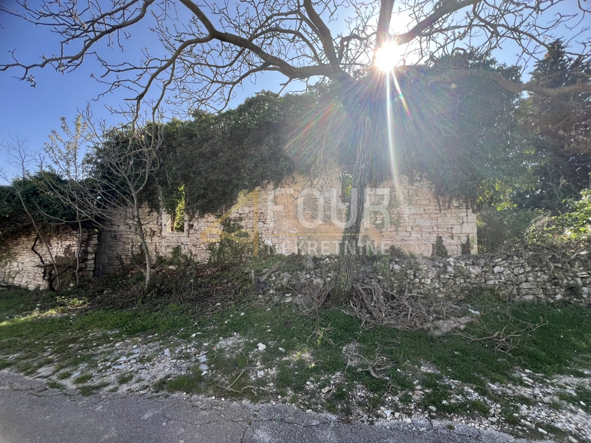 Svetvinčenat, 439m2