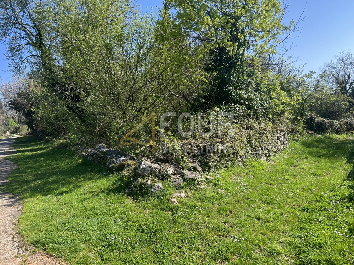 Svetvinčenat, 439m2