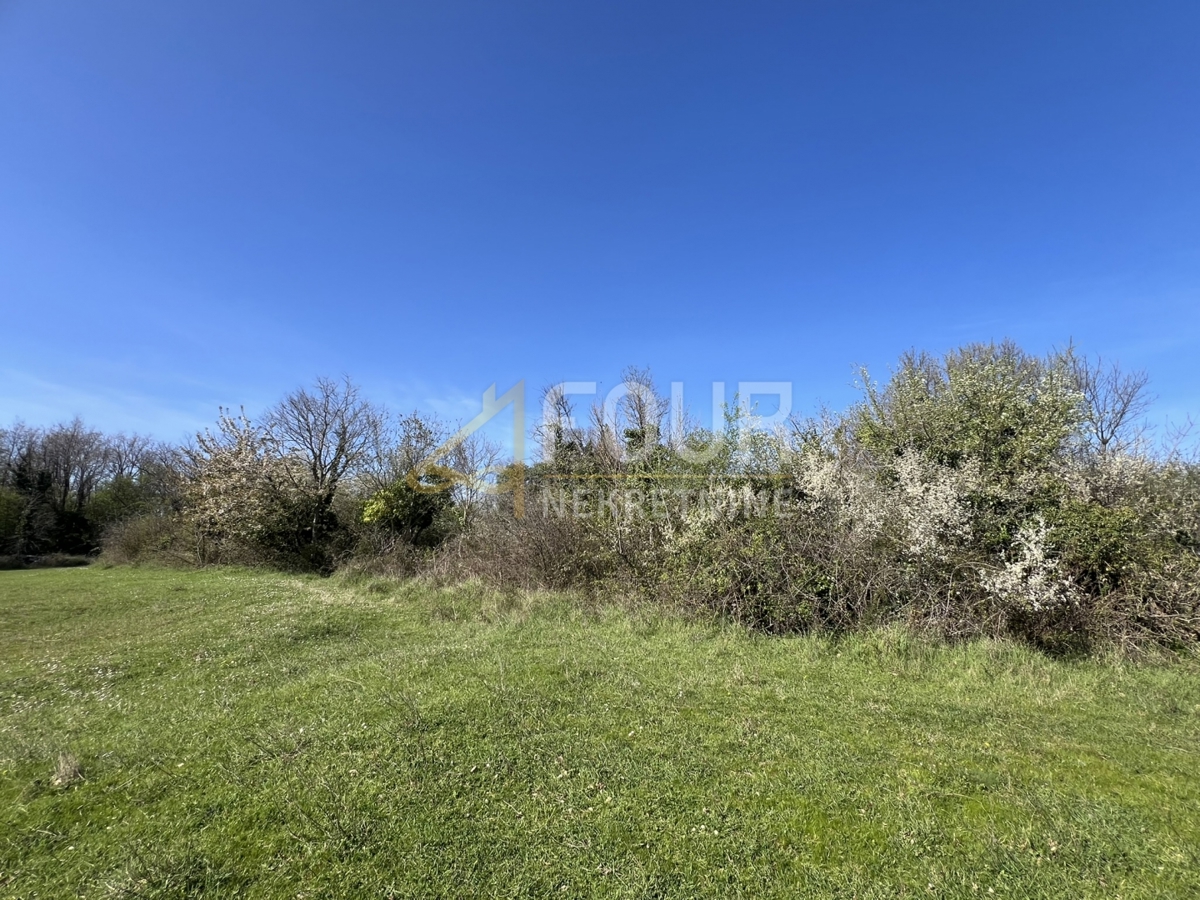 Svetvinčenat, 439m2