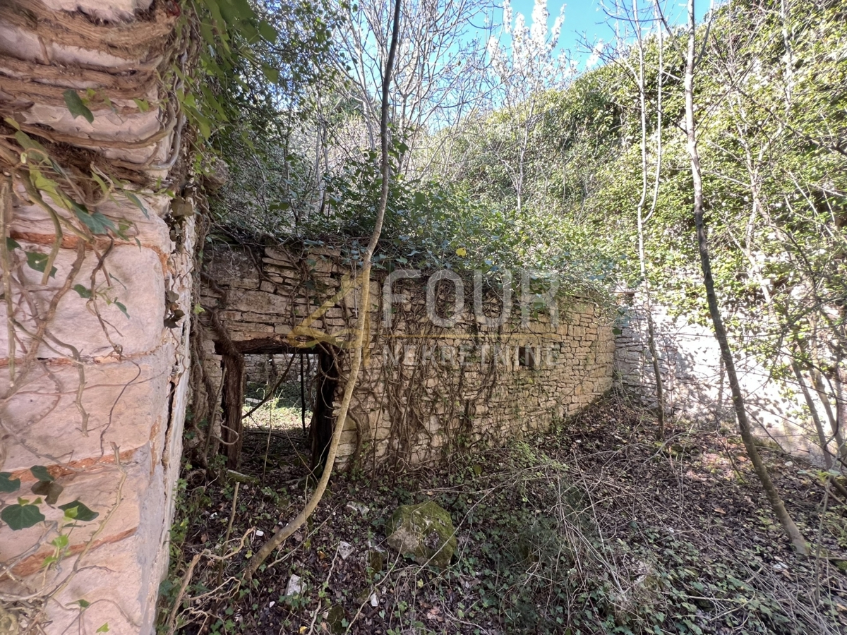 Svetvinčenat, 439m2