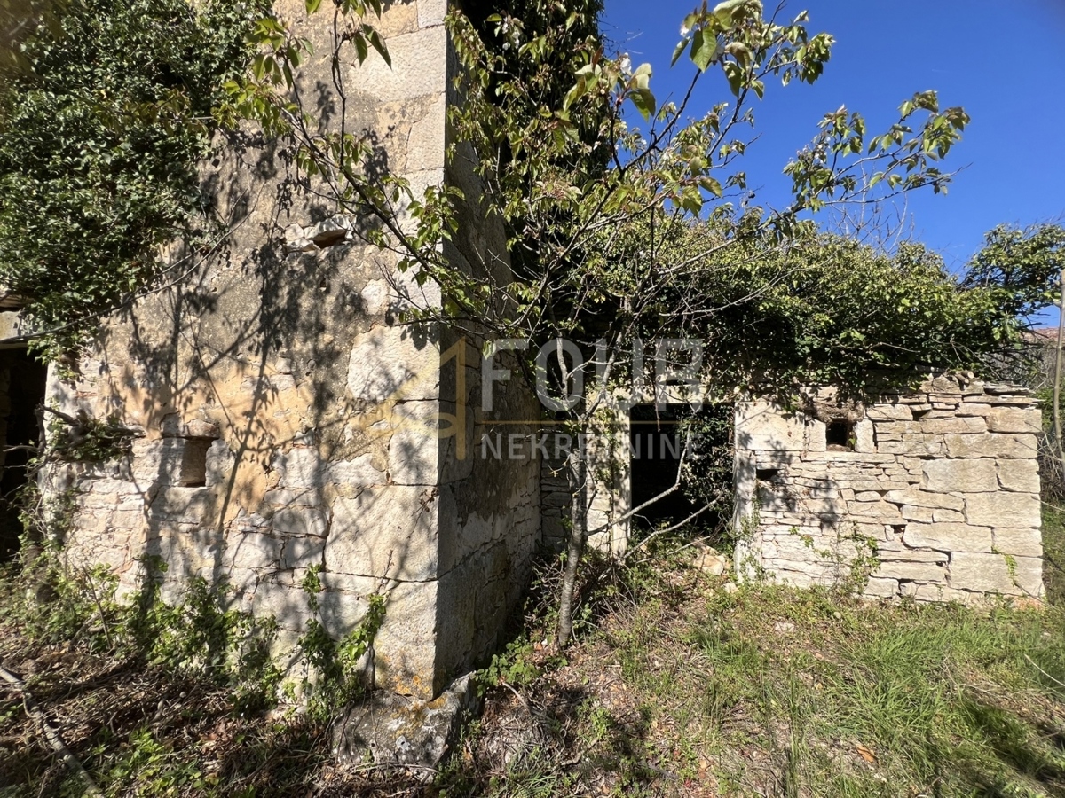 Svetvinčenat, 439m2