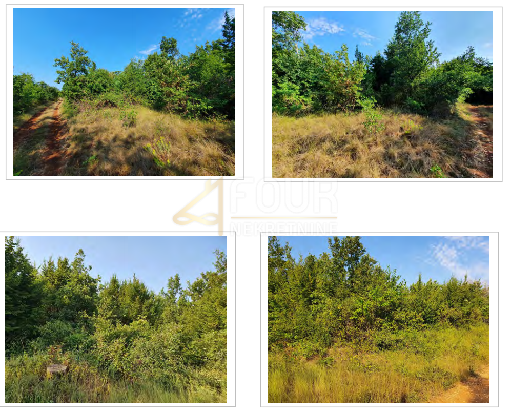 Labinci, Kaštelir-Labinci, 13.182m2