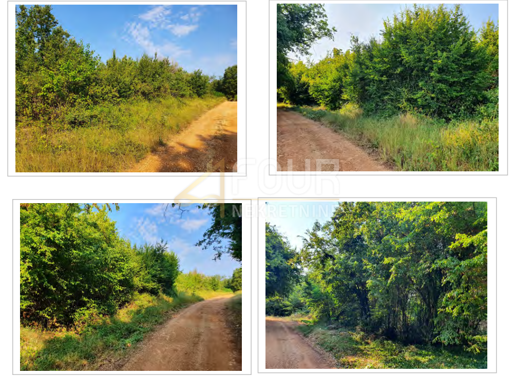 Labinci, Kaštelir-Labinci, 13.182m2