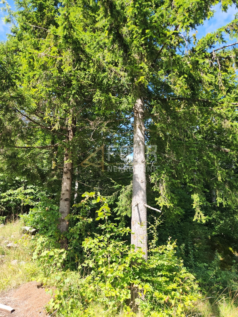 Stari Laz, Ravna Gora, 1.289m2