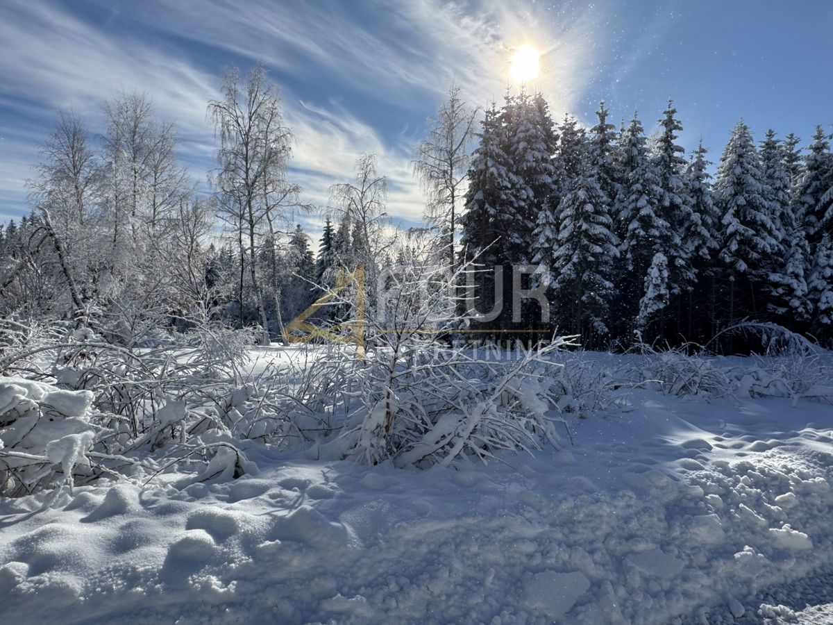 Ravna Gora, 12.519m2