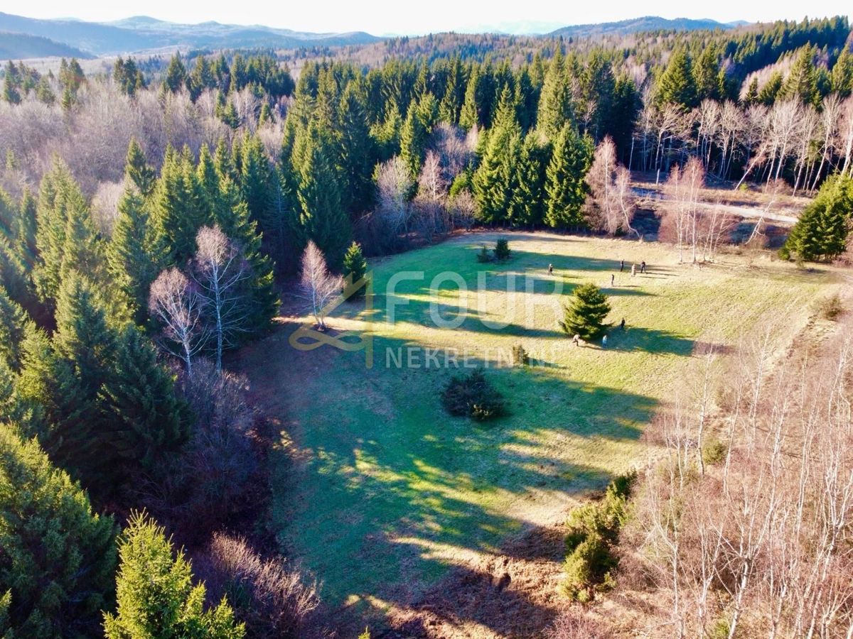 Ravna Gora, 12.519m2