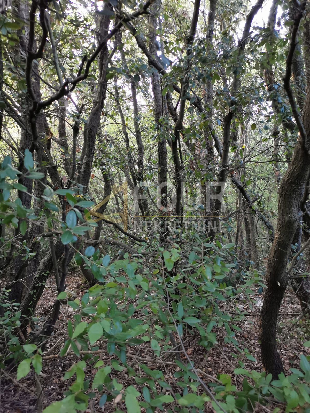 Kavran, Marčana, 47.255m2