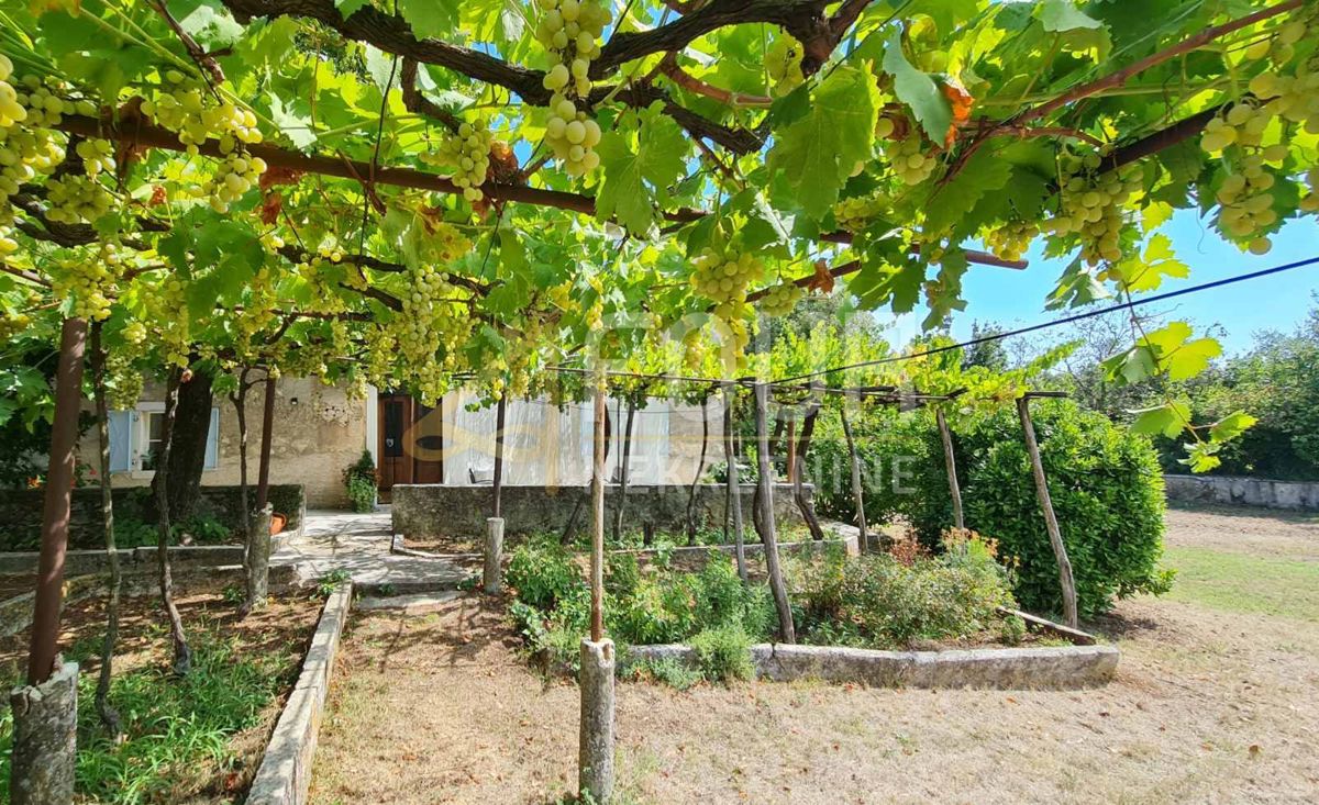 Nedešćina, Sveta Nedelja, 110m2