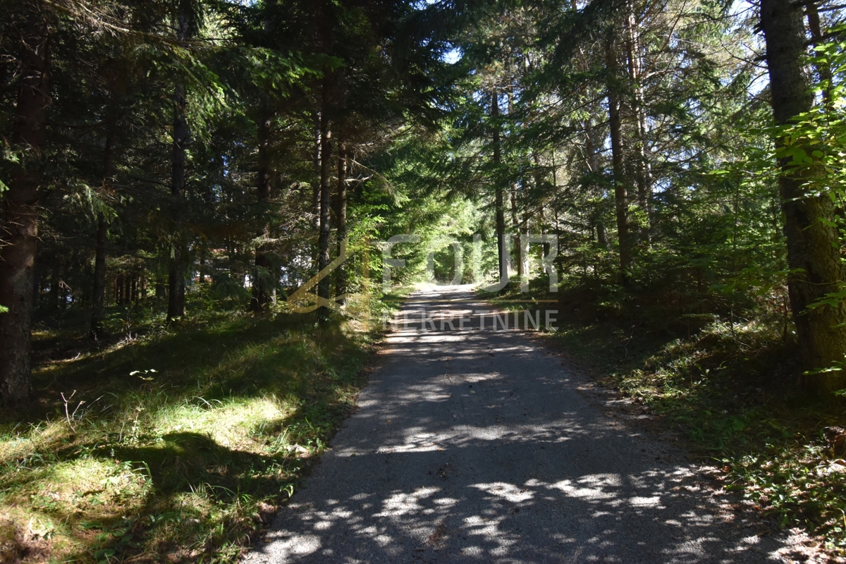 Tršće, Čabar, 250m2