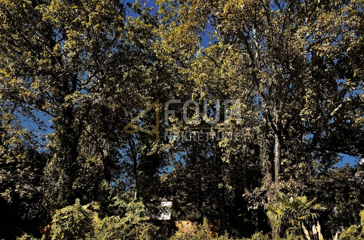 Opatija - Centar, Opatija, 994m2