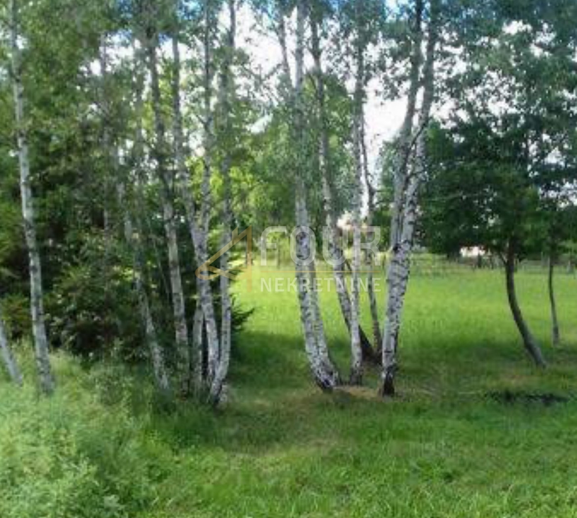 Kupjak, Ravna Gora, 6.111m2