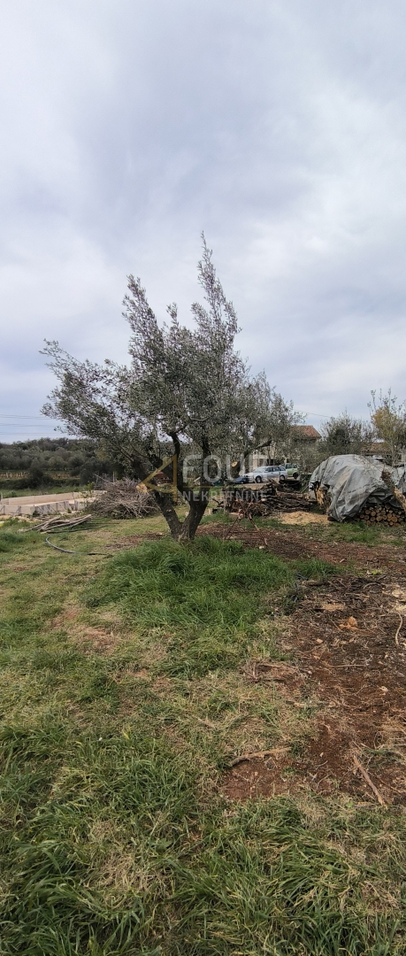 Istria, Marčana - zona circostante, casa indipendente di 50m2.