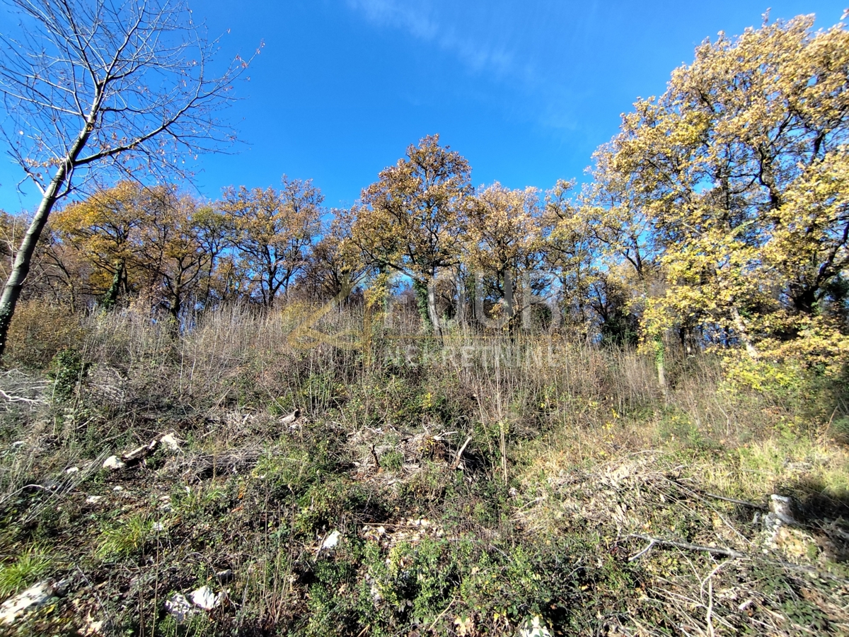 Veprinac, Opatija - Okolica, 1.945m2