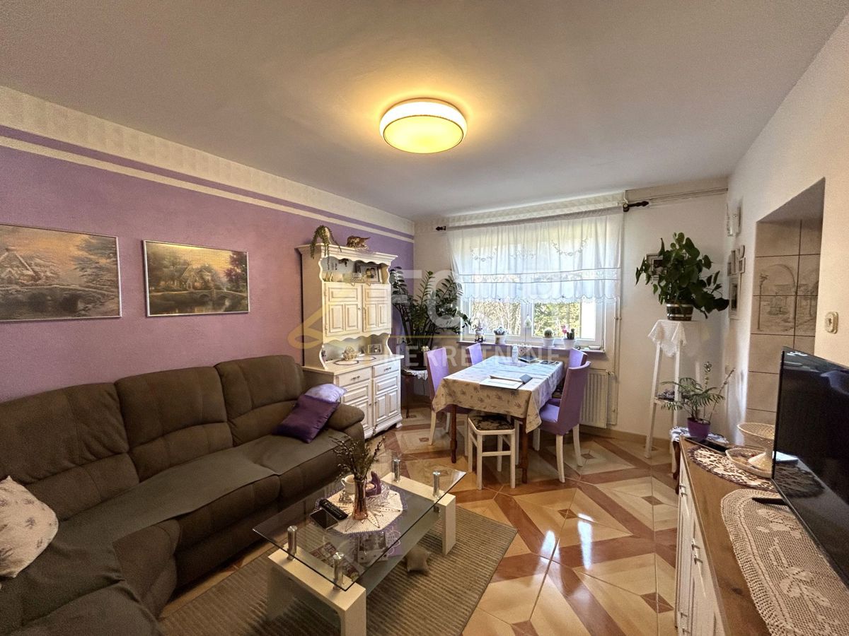 Kupjak, Ravna Gora, 250m2