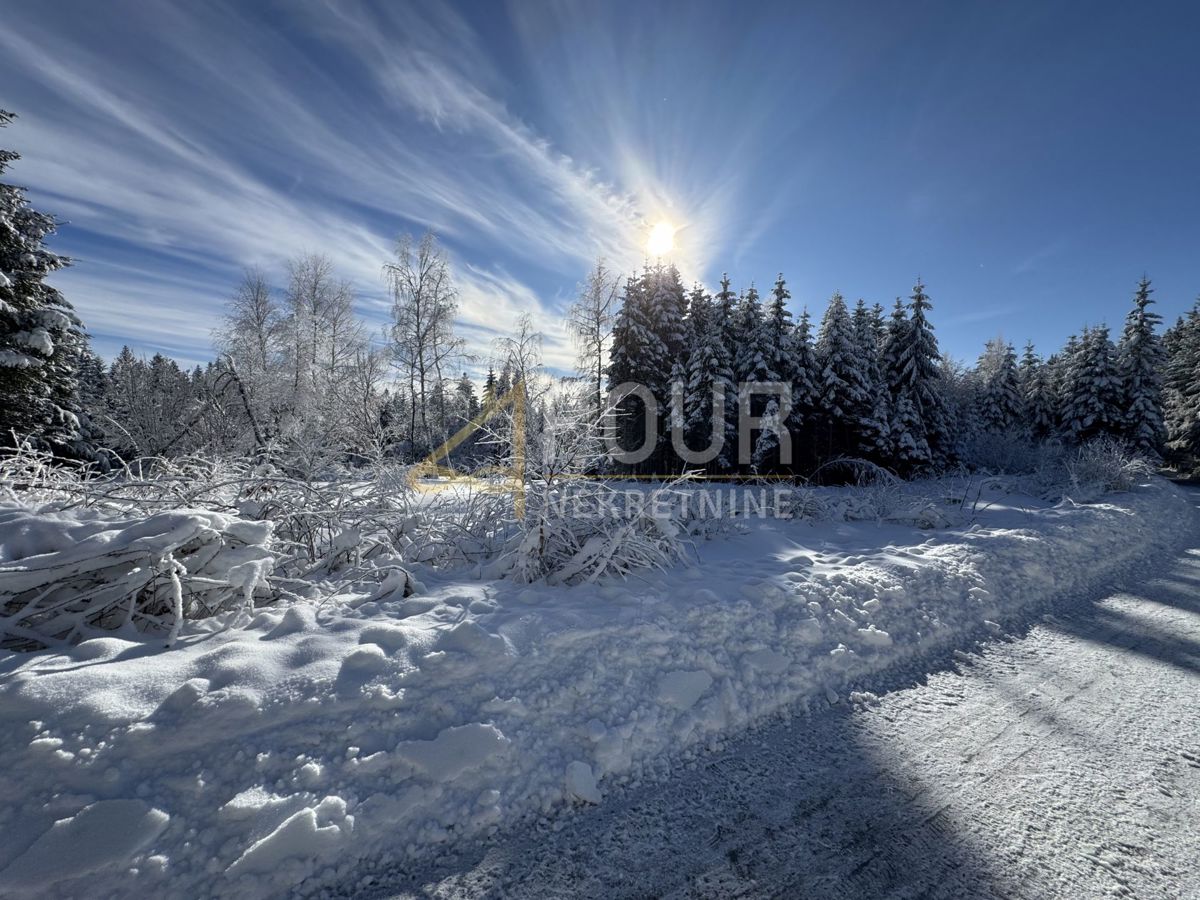 Ravna Gora, 12.519m2