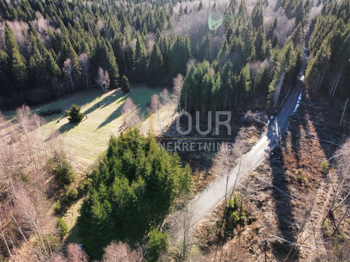 Ravna Gora, 12.519m2