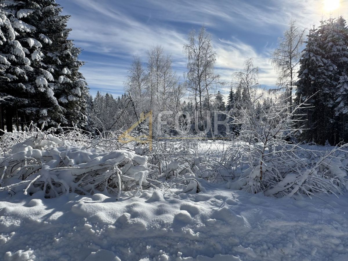 Ravna Gora, 12.519m2