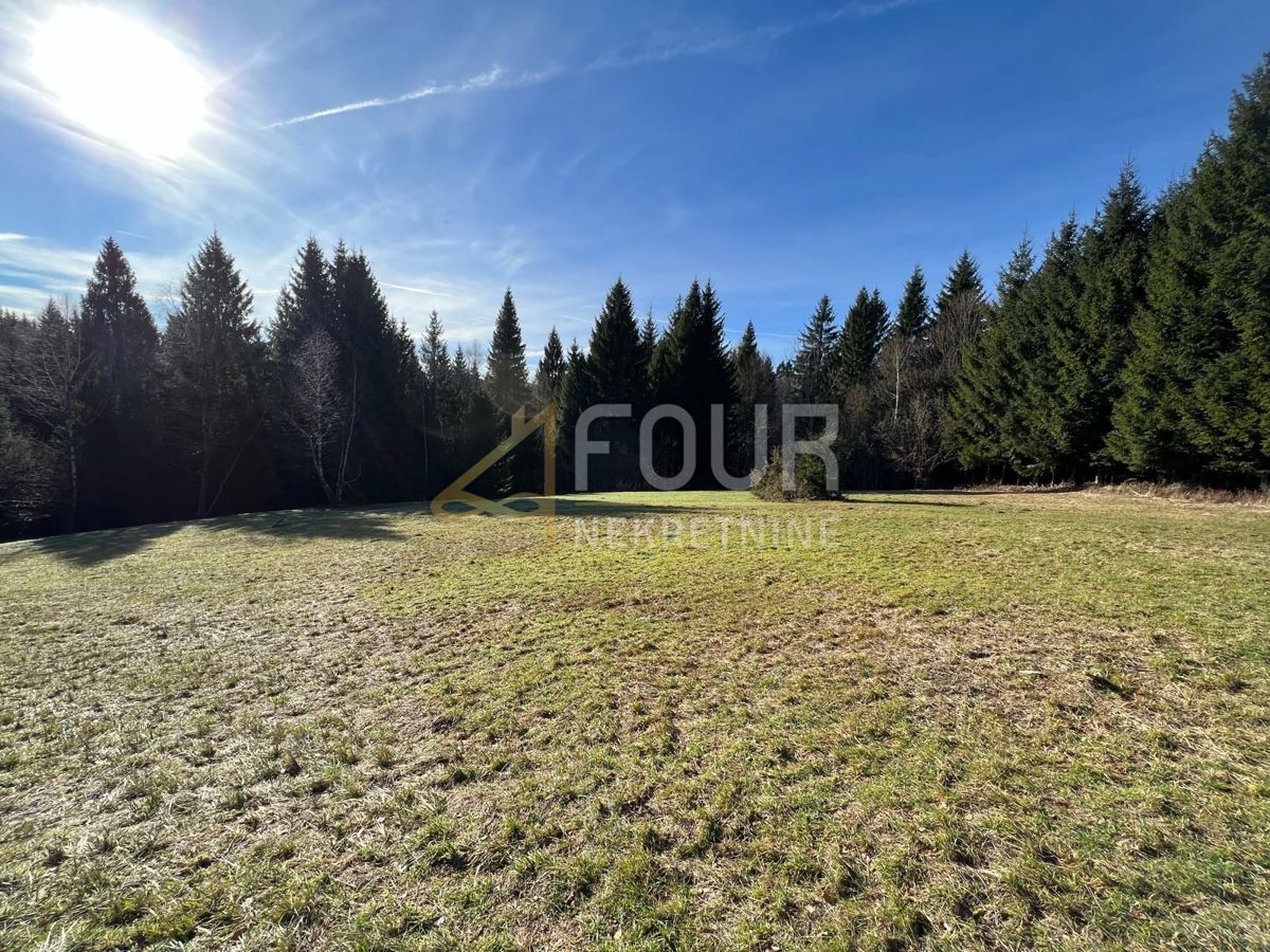 Ravna Gora, 12.519m2