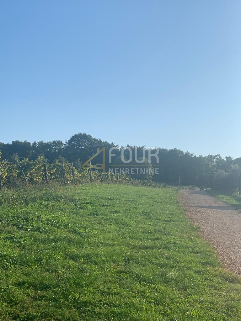 Kršikla, Pazin - Okolica, 45.000m2