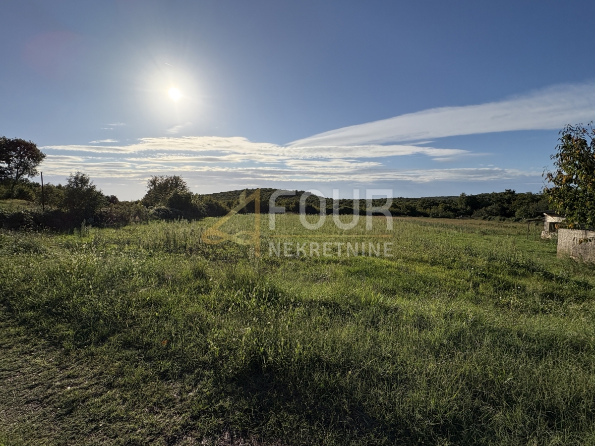 Golaš, Bale, 2.403m2