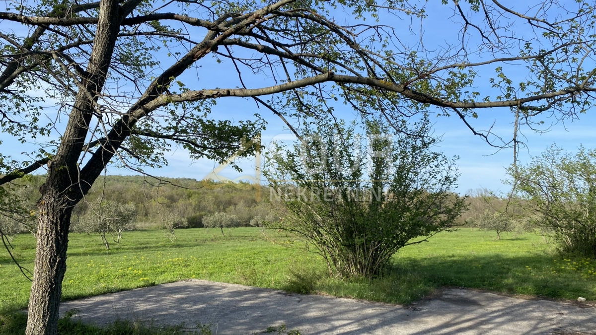 Istria, Kanfanar, terreno agricolo, 13.301m2