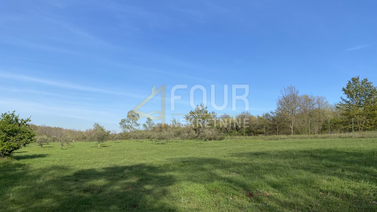Istria, Kanfanar, terreno agricolo, 13.301m2