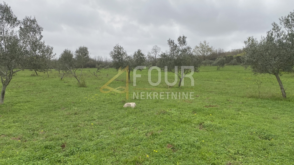 Istria, Kanfanar, terreno agricolo, 13.301m2