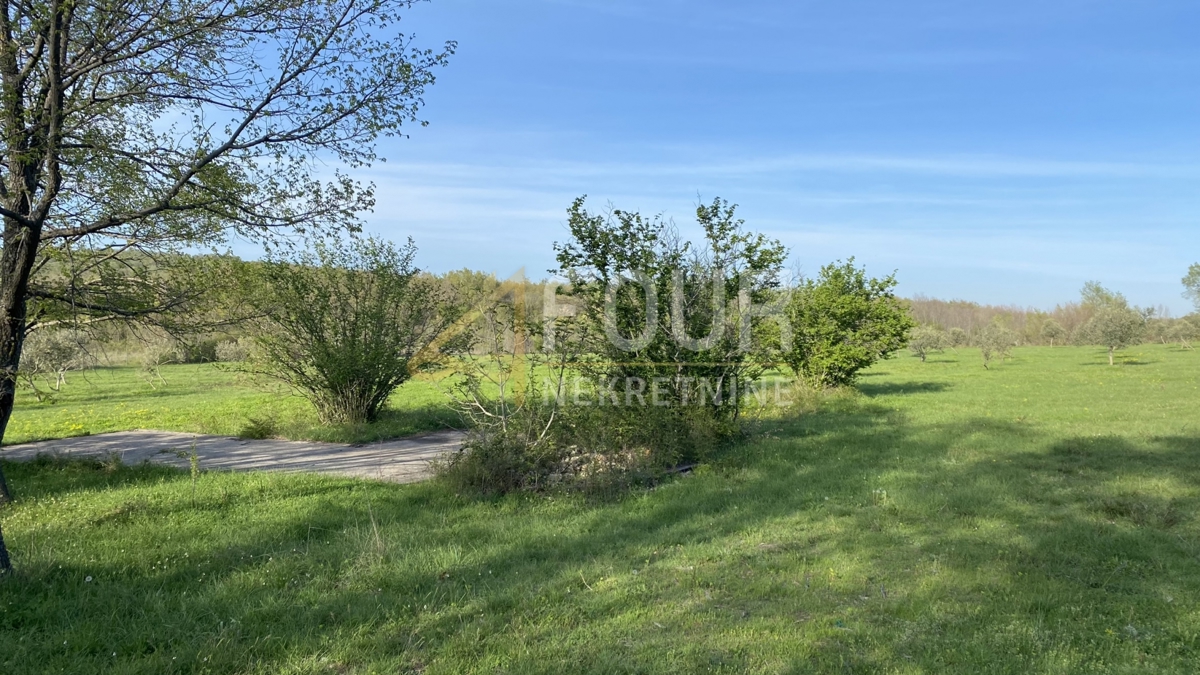 Istria, Kanfanar, terreno agricolo, 13.301m2