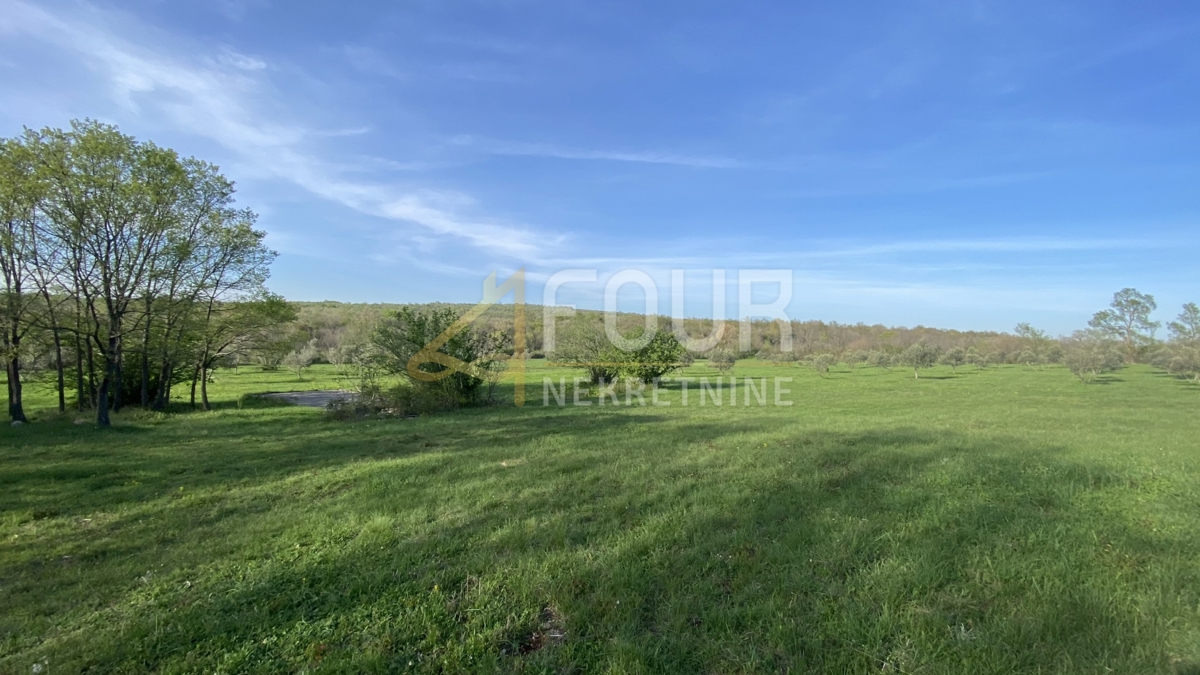 Istria, Kanfanar, terreno agricolo, 13.301m2