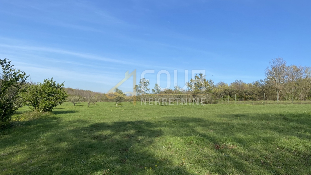 Istria, Kanfanar, terreno agricolo, 13.301m2
