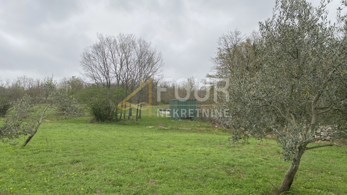 Istria, Kanfanar, terreno agricolo, 13.301m2