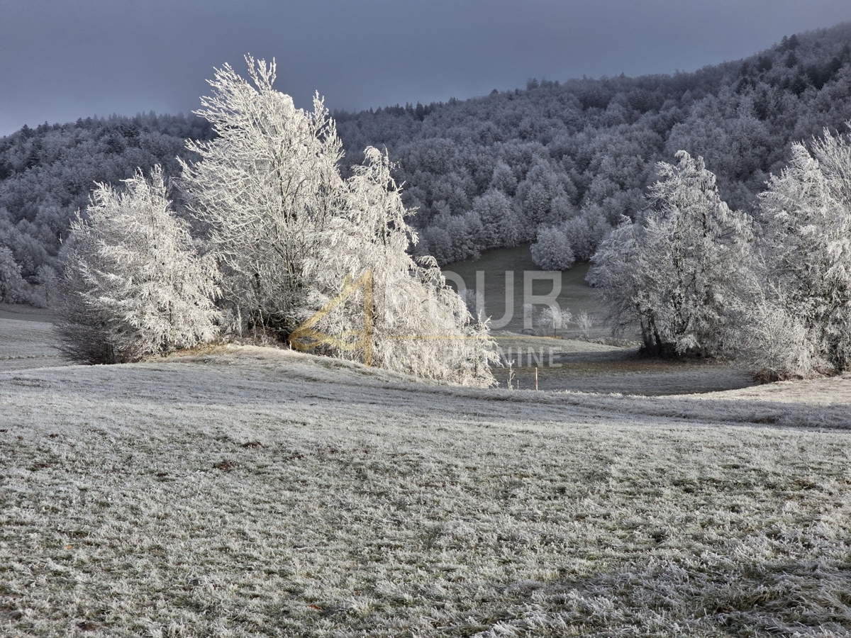 Begovo Razdolje, Mrkopalj, 1.000m2