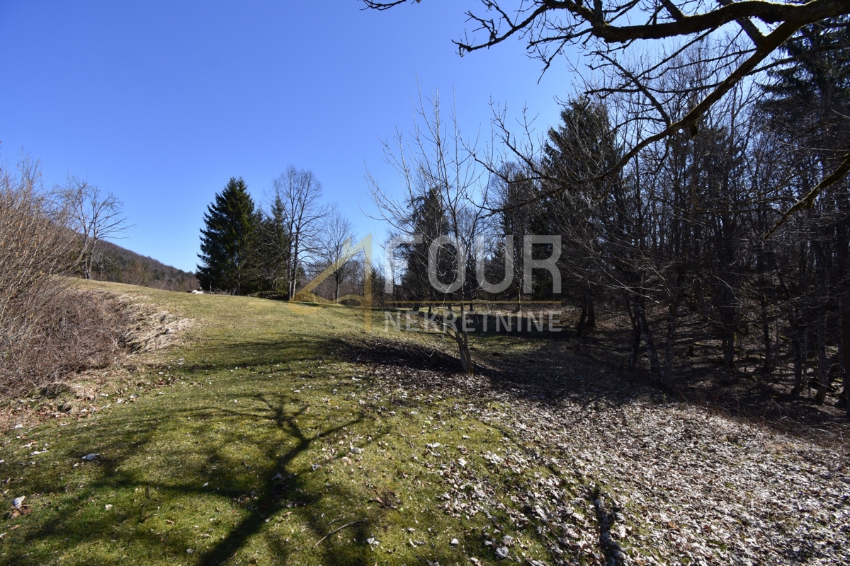 Gorski Kotar, Brod Moravice, casa con piscina - SOLO DA NOI!