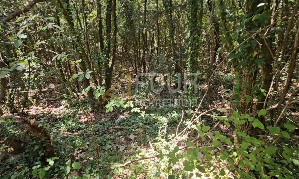 Istria, Marčana - zona circostante, terreno agricolo