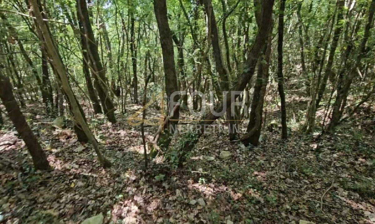 Istria, Marčana - zona circostante, terreno agricolo