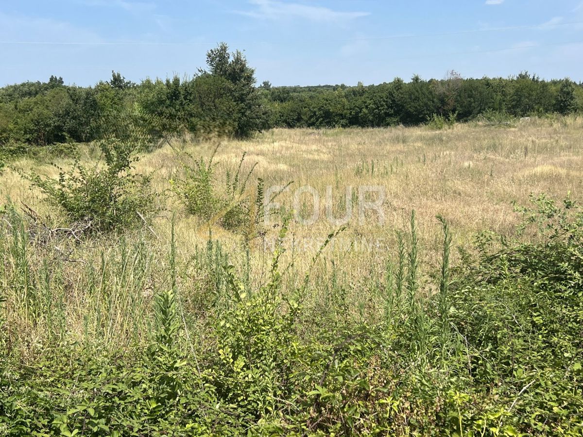 Vodnjan, 500m2