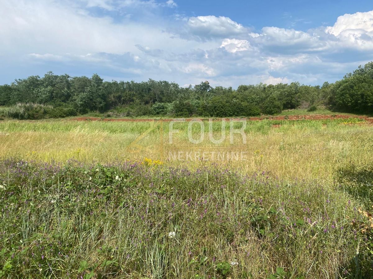 Baderna, Poreč, 53.691m2