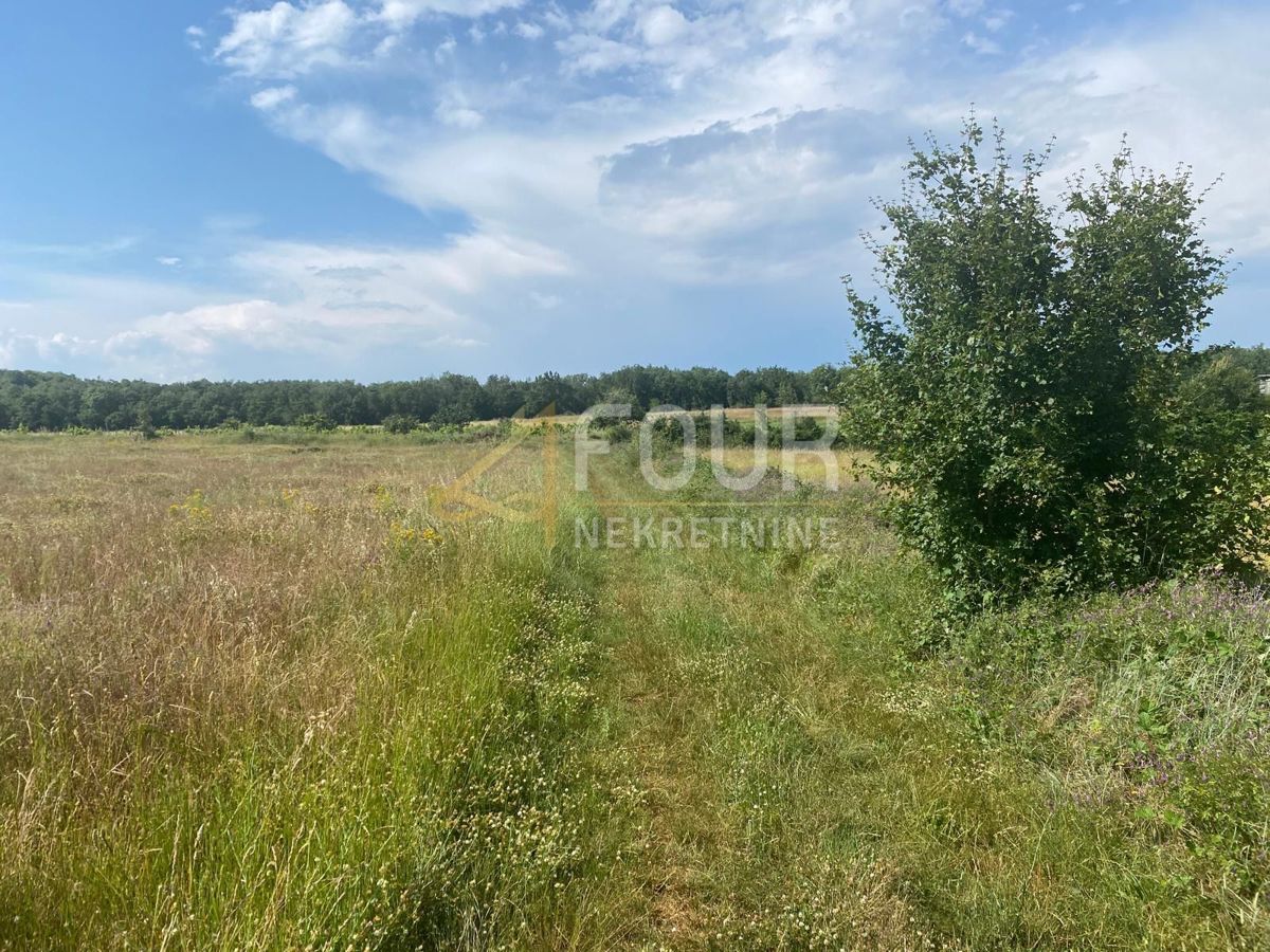 Baderna, Poreč, 53.691m2