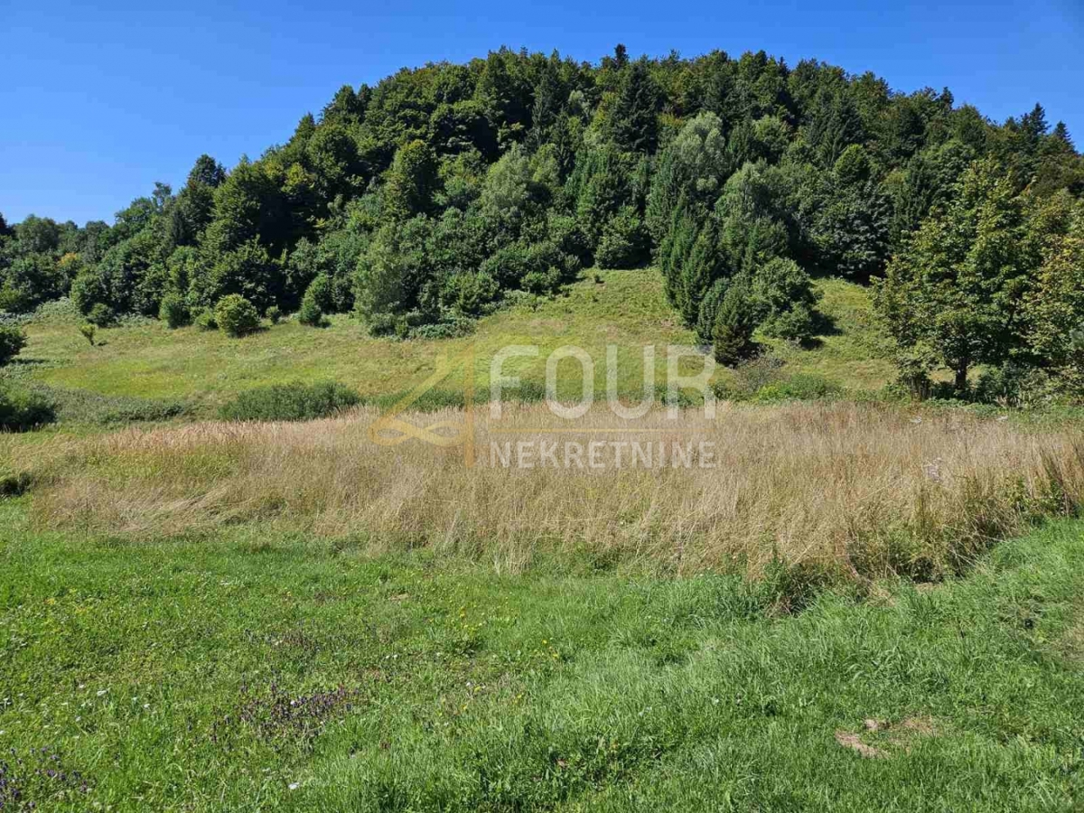 Crni Lug, Delnice, 2.219m2