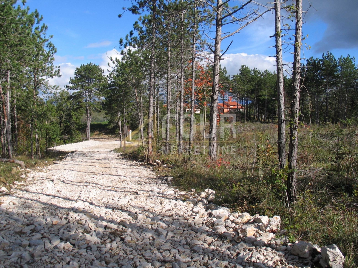 Istria, Gračišće - area circostante, terreno edificabile/agricolo, 39.091m2