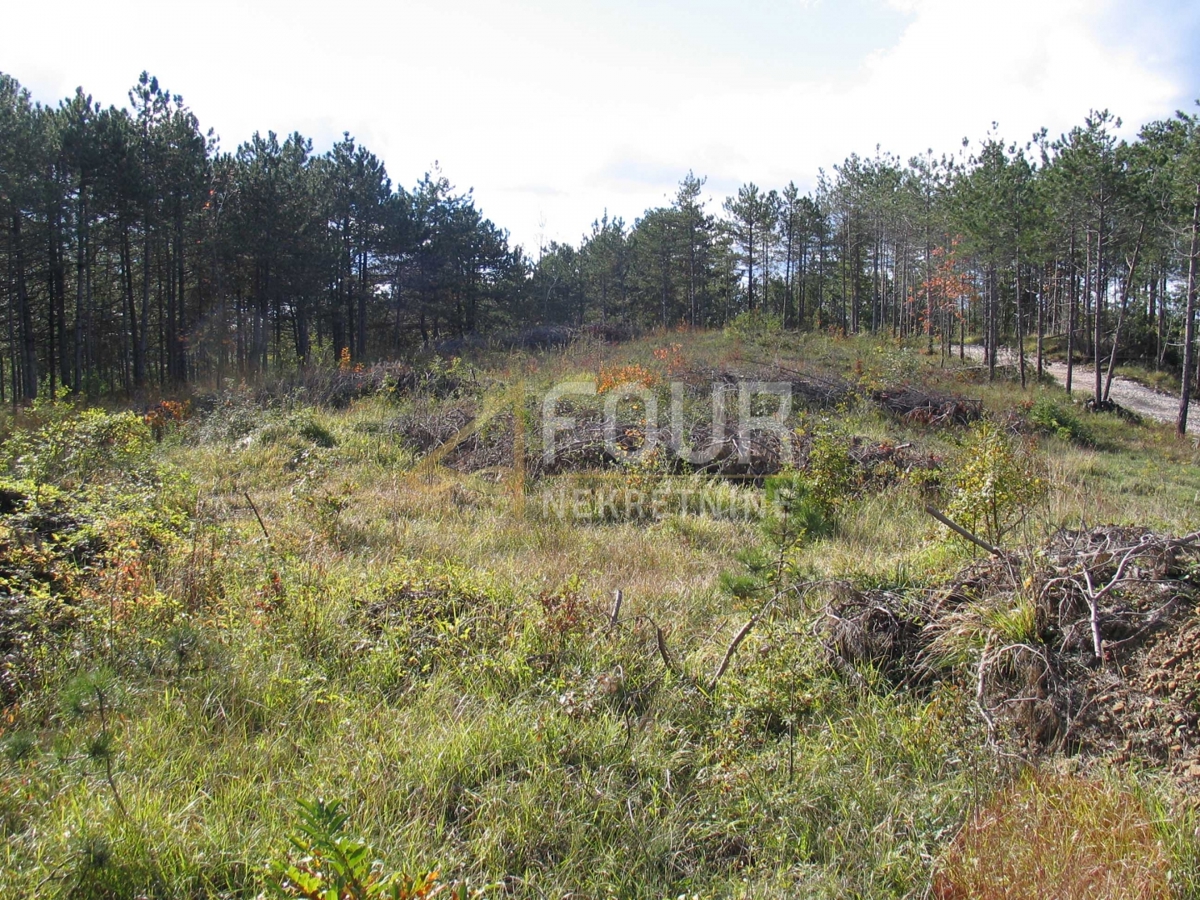 Istria, Gračišće - area circostante, terreno edificabile/agricolo, 39.091m2