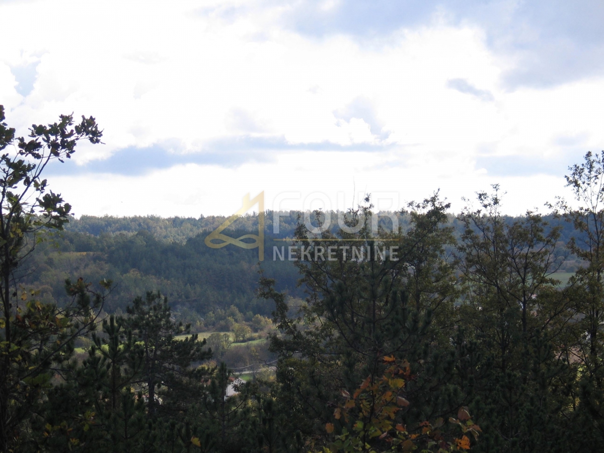 Istria, Gračišće - area circostante, terreno edificabile/agricolo, 39.091m2