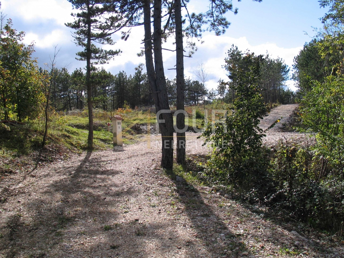 Istria, Gračišće - area circostante, terreno edificabile/agricolo, 39.091m2