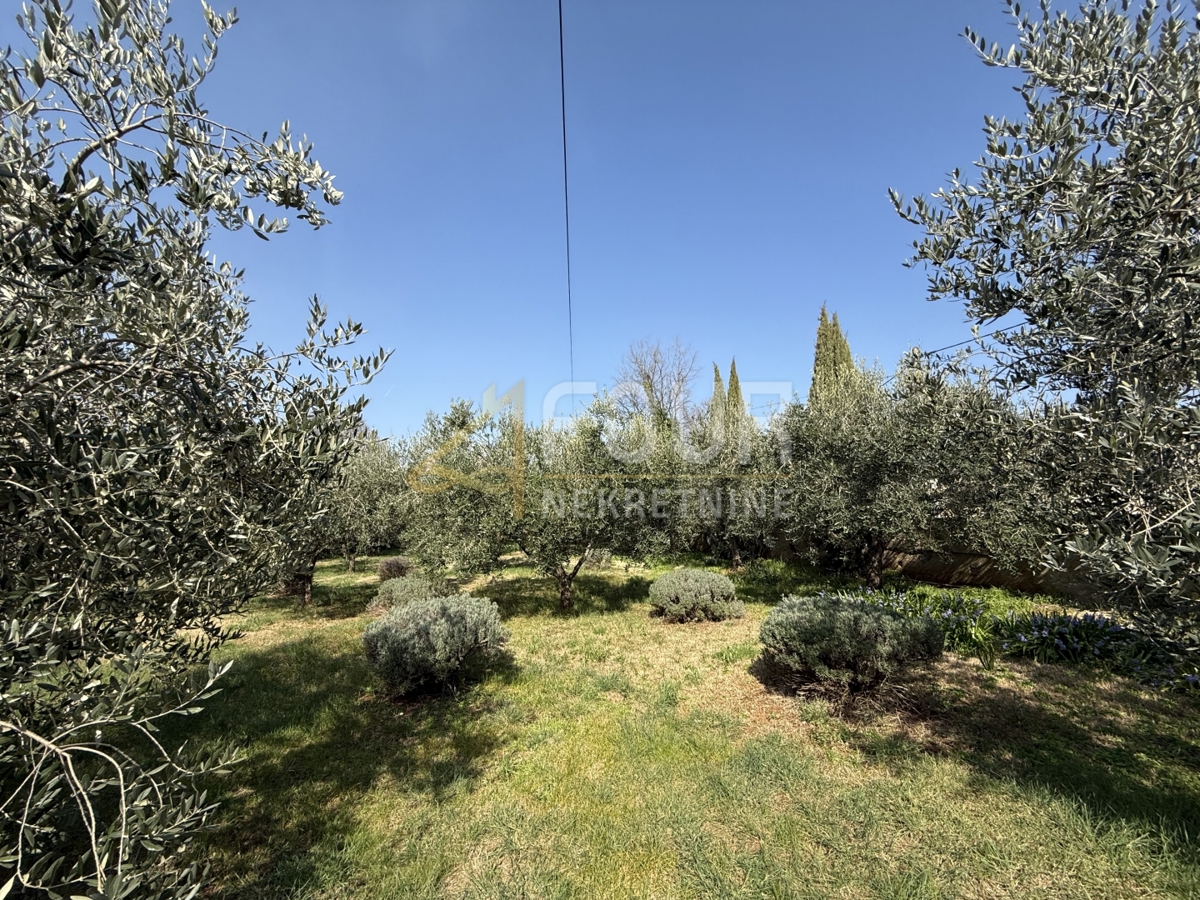 Istria, Gallignana, casa indipendente, 421,51m2