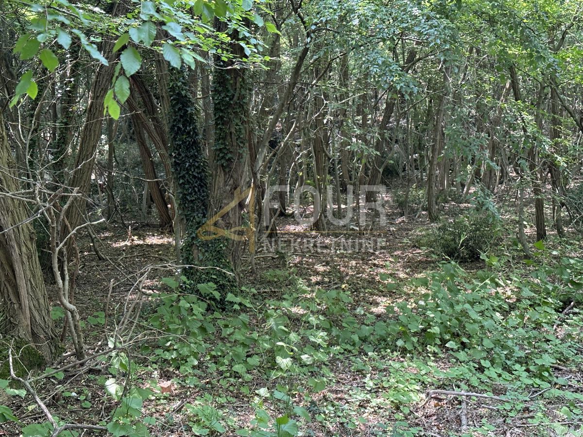 Risika, Vrbnik, 1.356m2