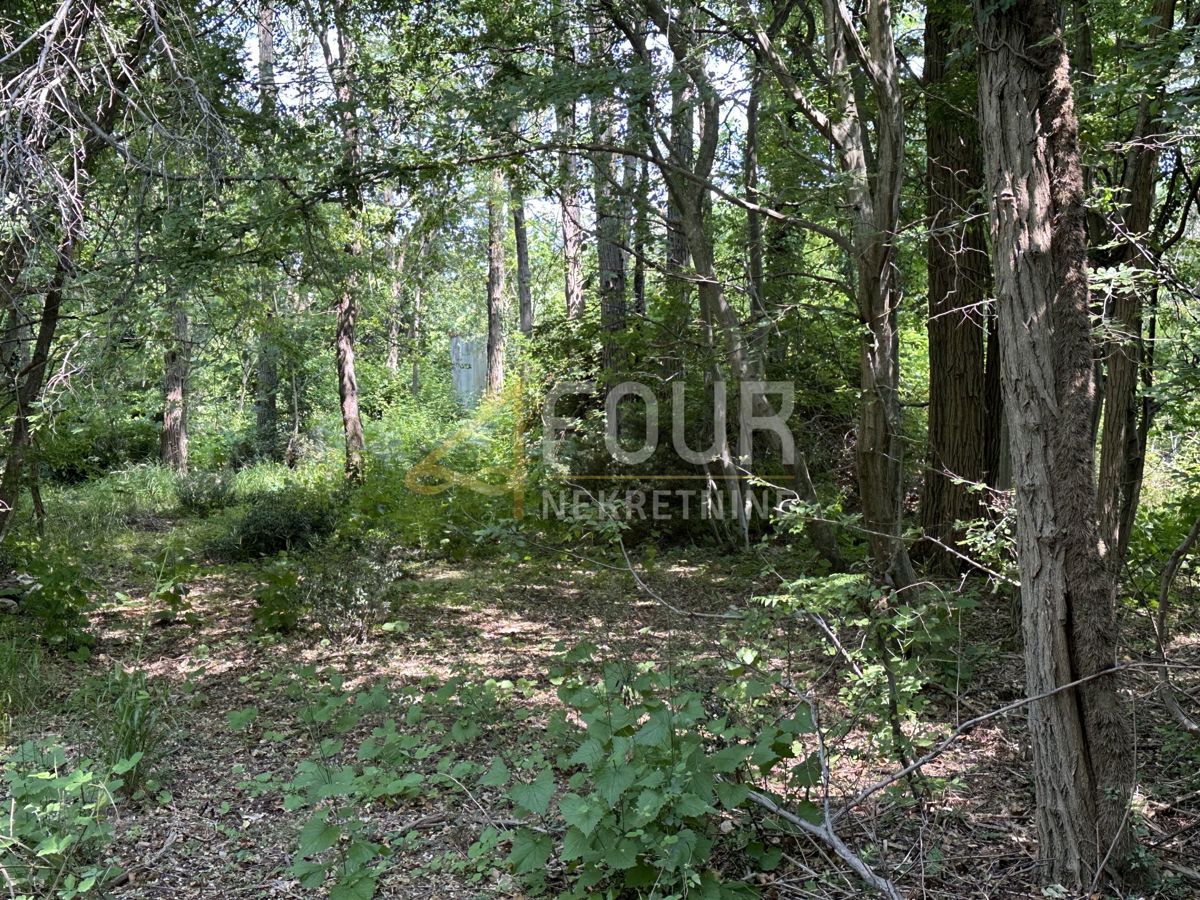 Risika, Vrbnik, 1.356m2