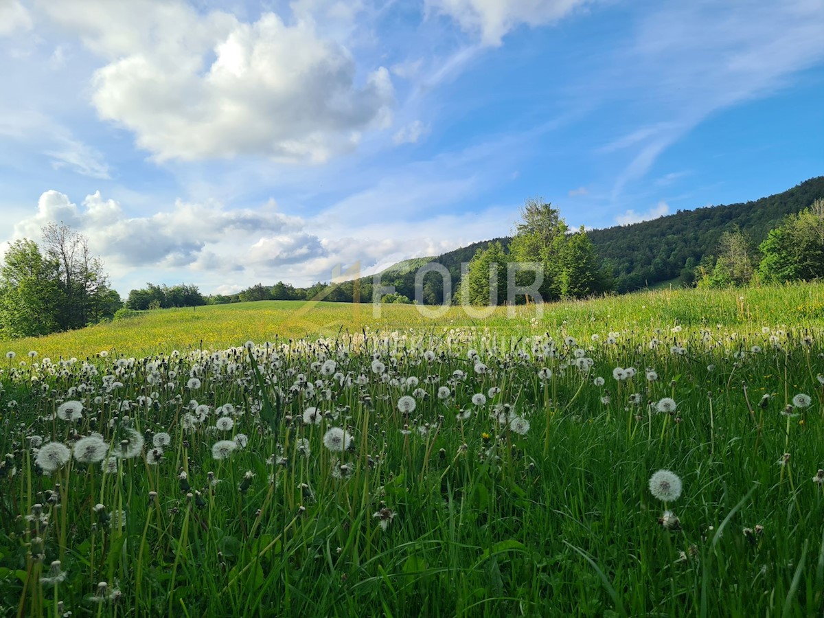 Begovo Razdolje, Mrkopalj, 210m2