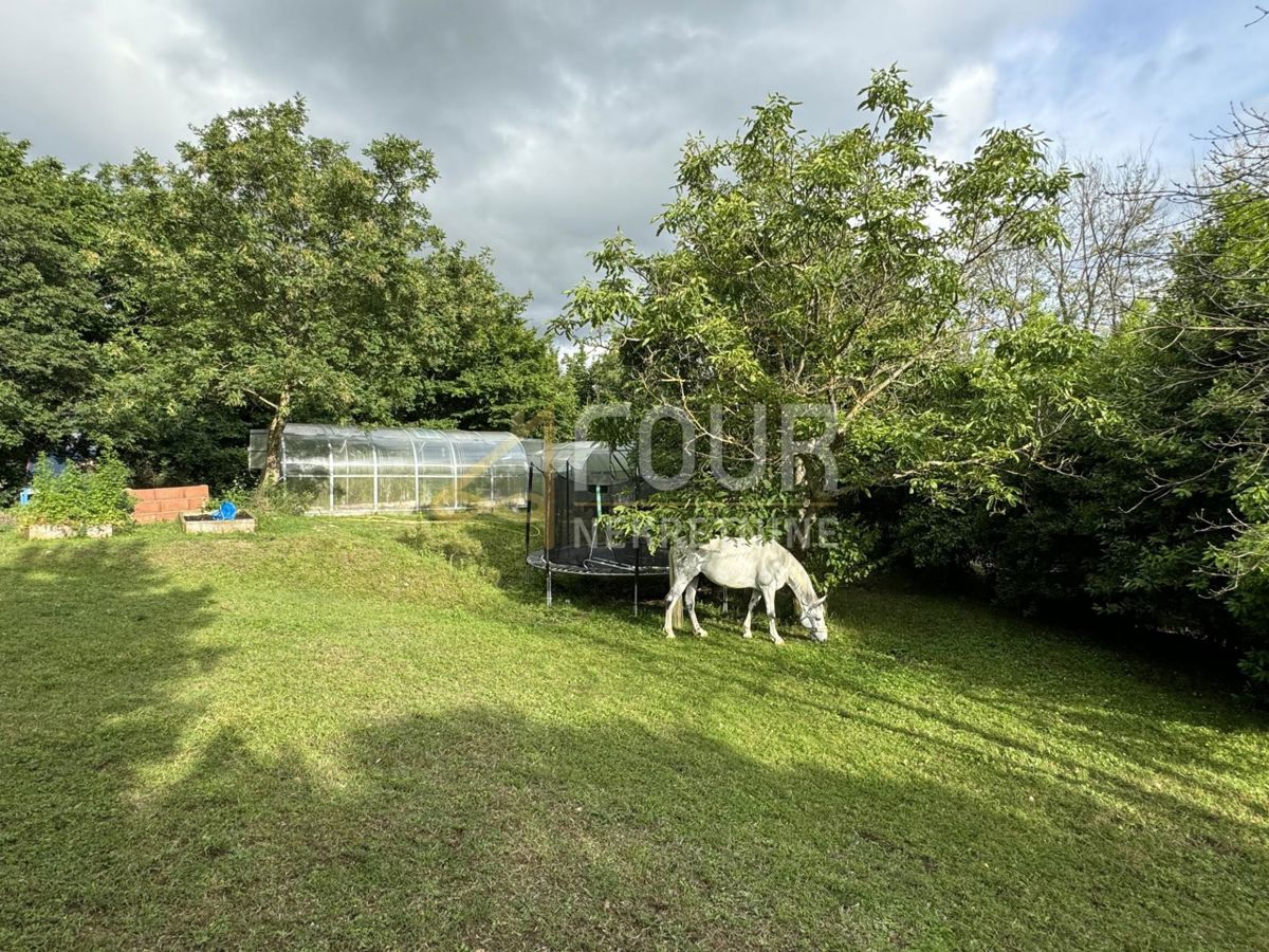 Gračišće, 303,28m2